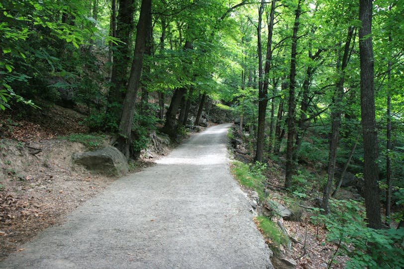 Path to the Top