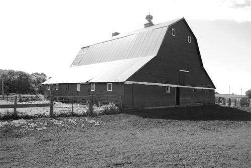 Wientjes Barn and Ranch Yard