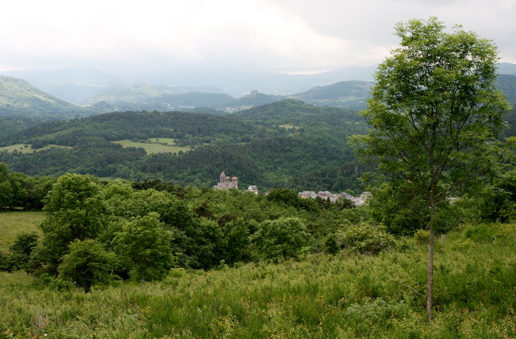 Among the Forested Hills