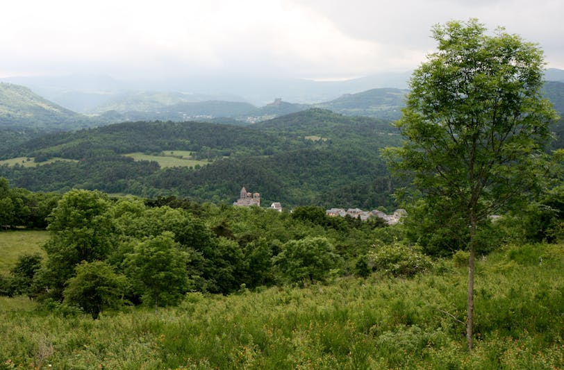 Among the Forested Hills