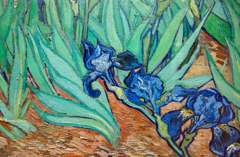 Irises, 1889 by Vincent van Gogh: Detail