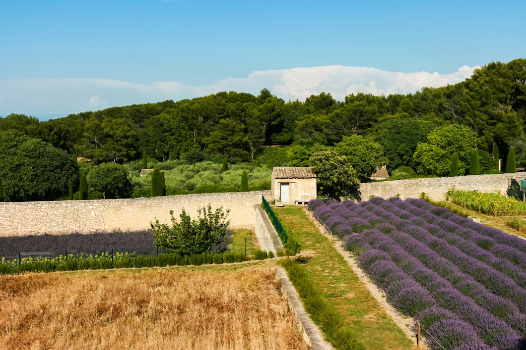 View from Van Gogh's Room, St-Paul de Mausole, St-Rémy, France
