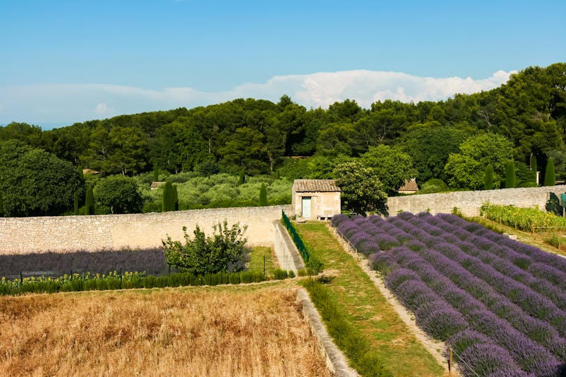 View from Van Gogh's Room, St-Paul de Mausole, St-Rémy, France