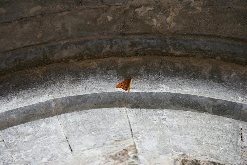 xti_8064
