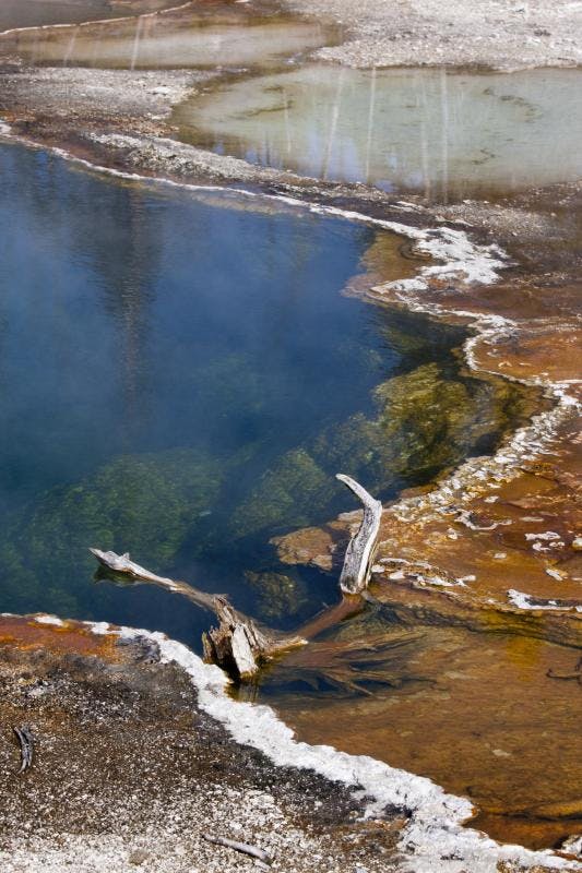 Yellowstone National Park
