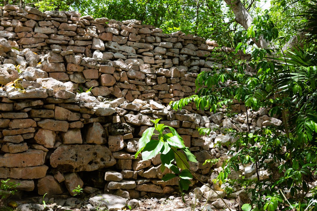 Wall in the Jungle, Tulum, Mexico