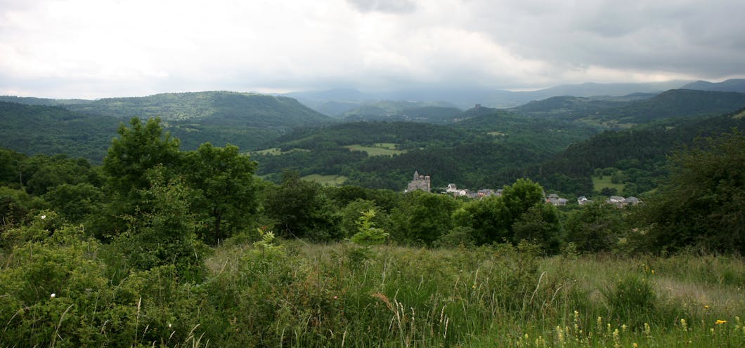 Among the Forested Hills