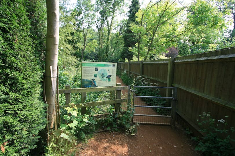 c.s. lewis reserve