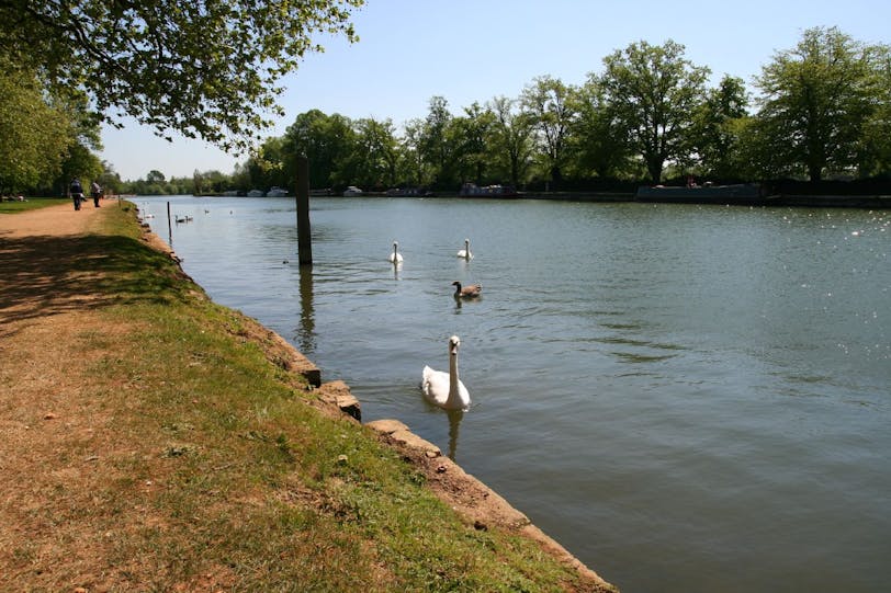 may day on the river, oxford