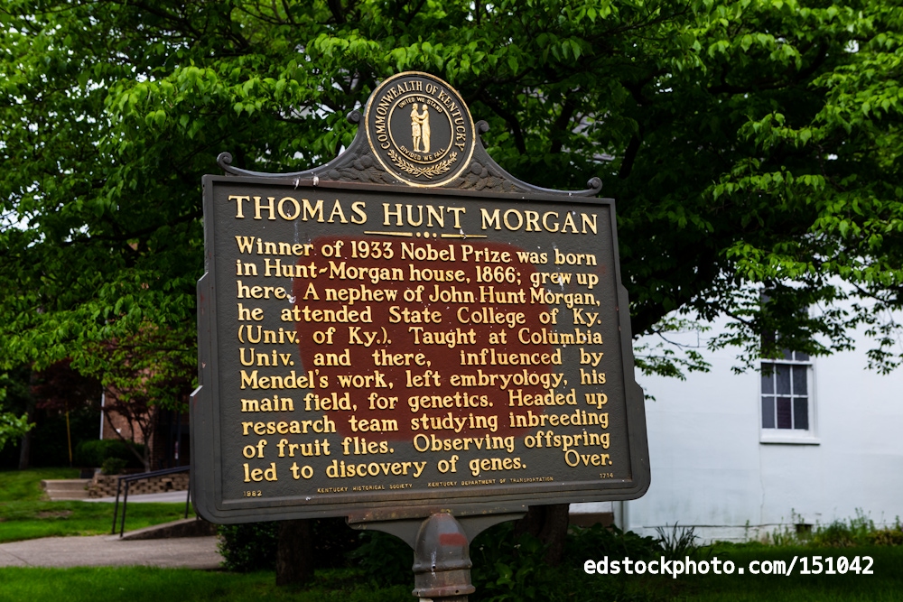 Thomas Hunt Morgan Marker (Lexington, Kentucky)