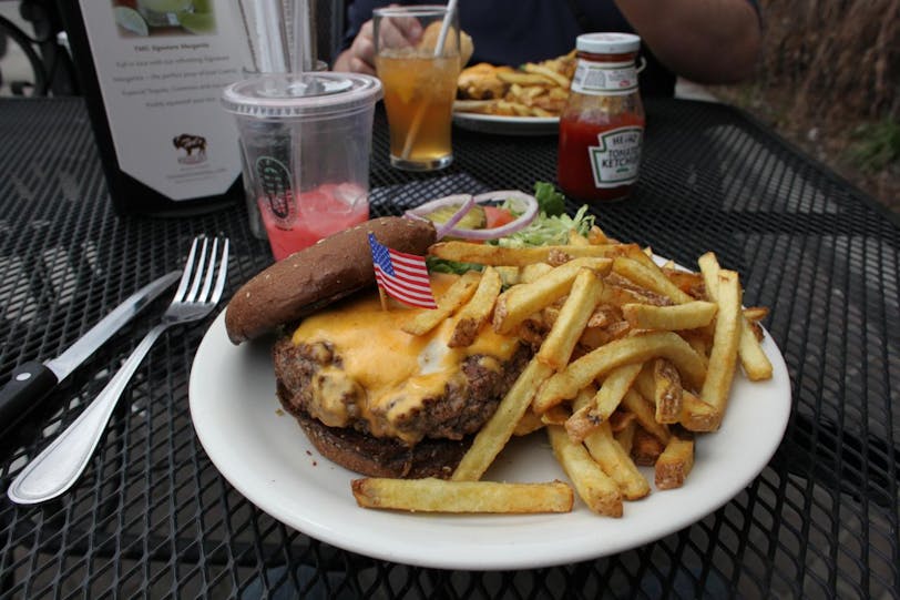 buffalo burger