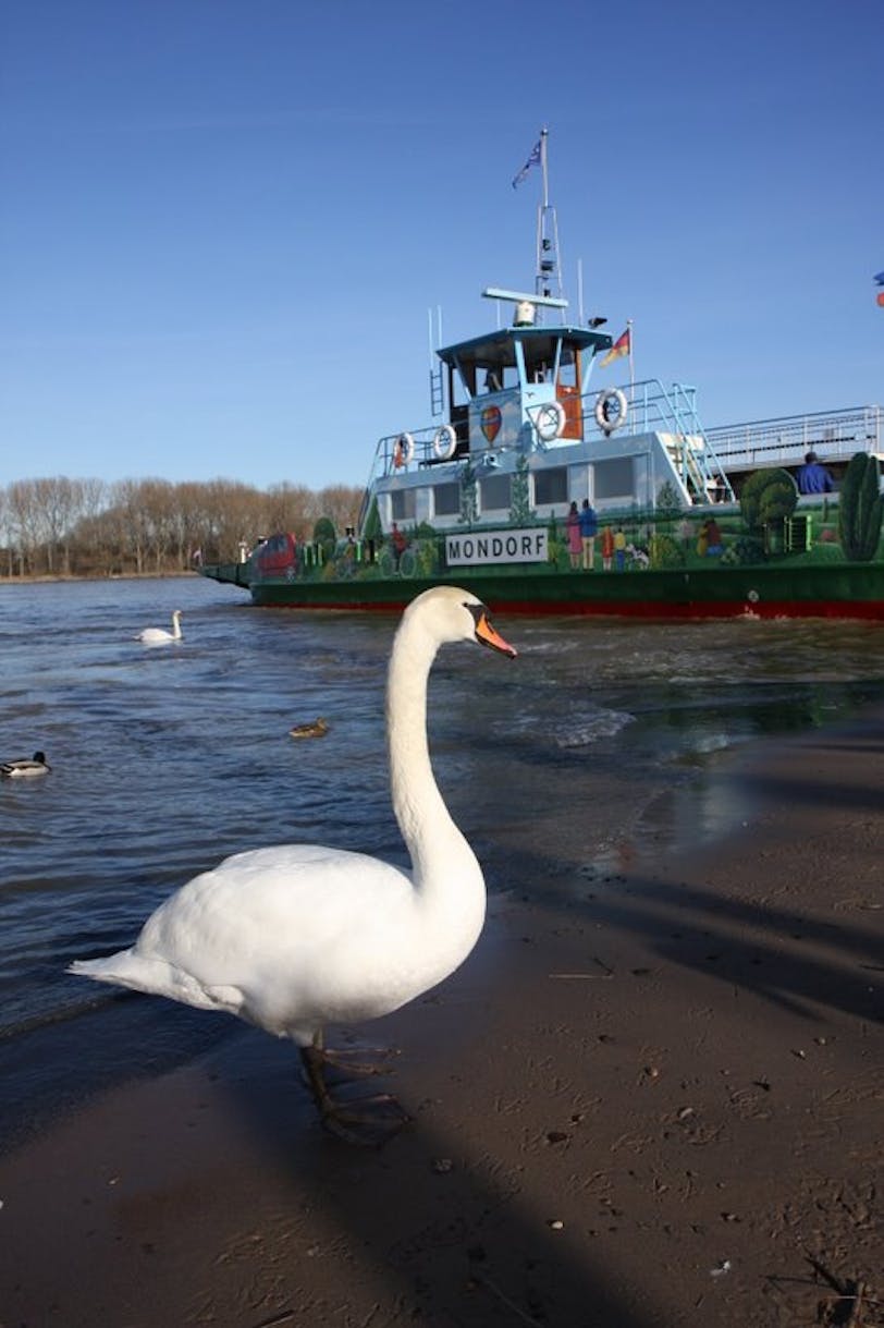 catching the ferry