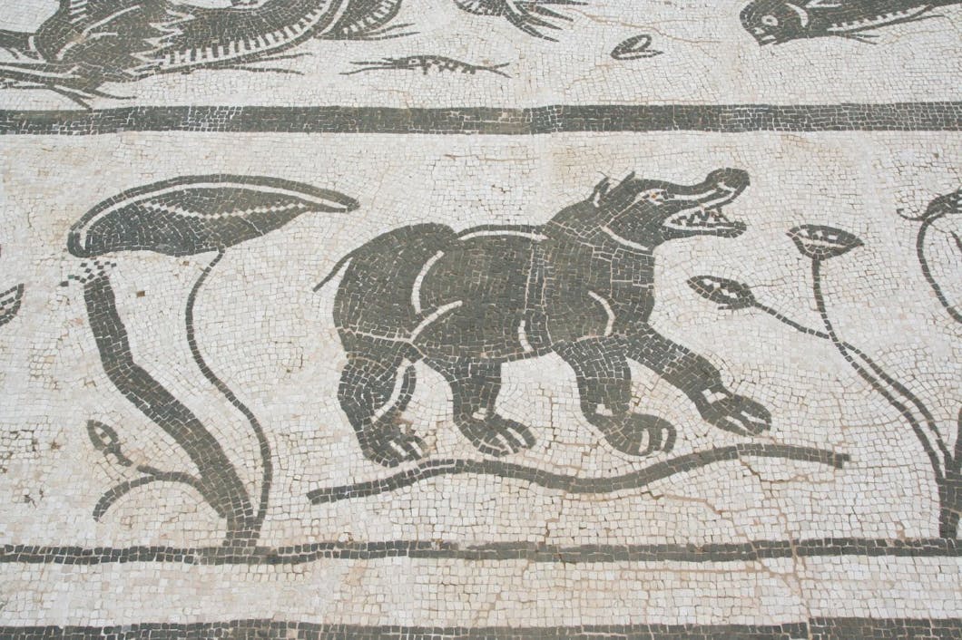 neptune mosaic, italica