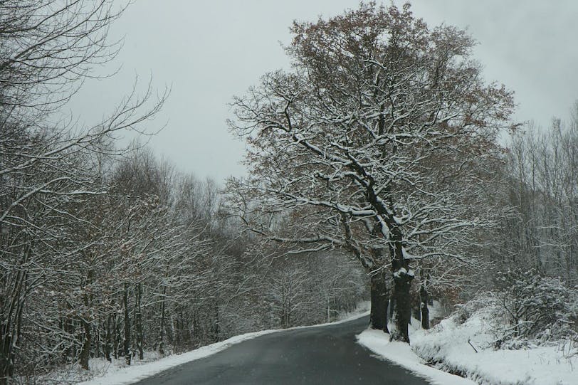 road to nemanice