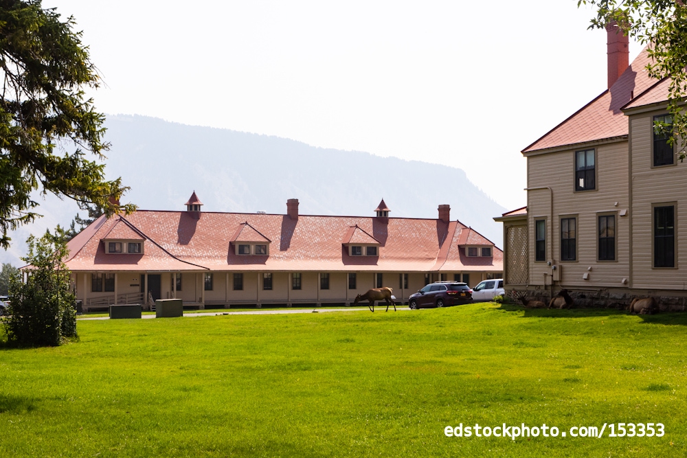 Officers Row with Elk (Fort Yellowstone, Wyoming)