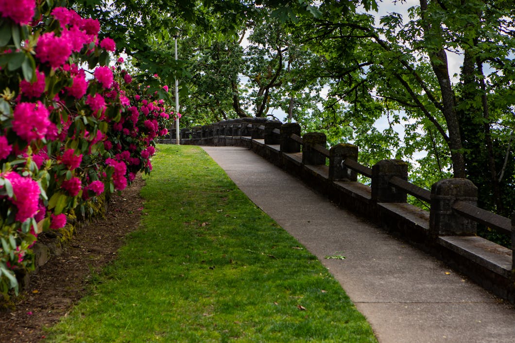 Springtime on the McLoughlin Promenade, Oregon City, Oregon
