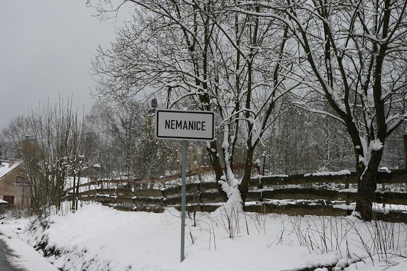 nemanice