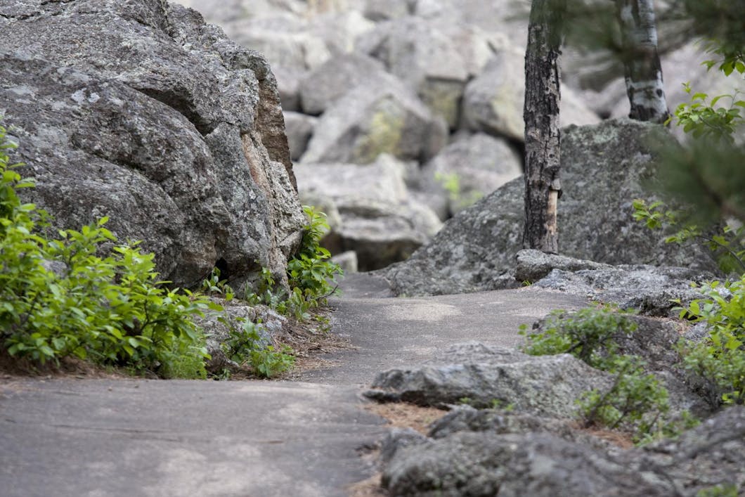 Path