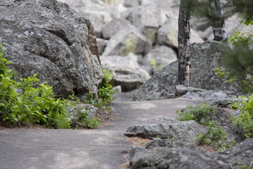 Path