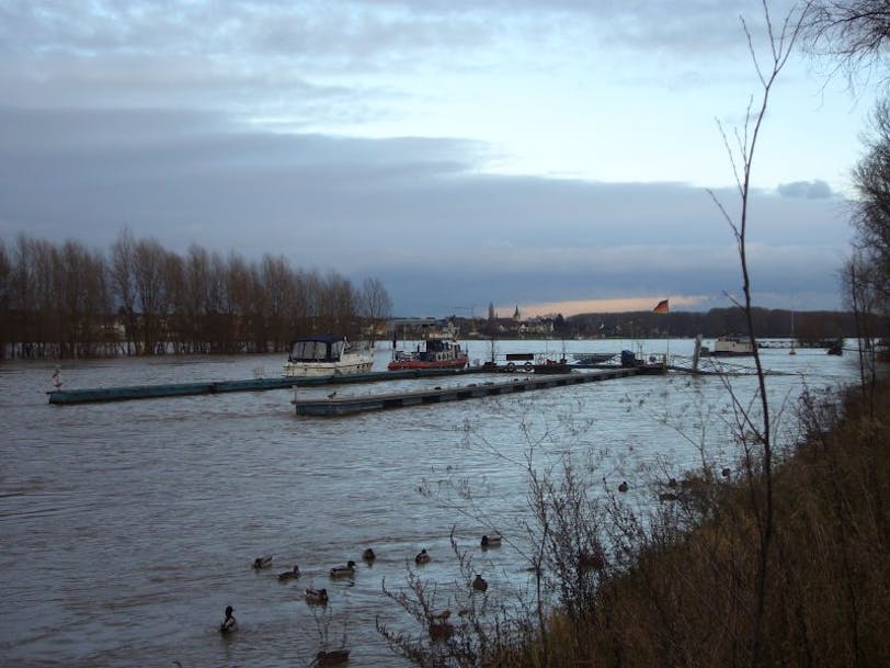 rhein at sunset