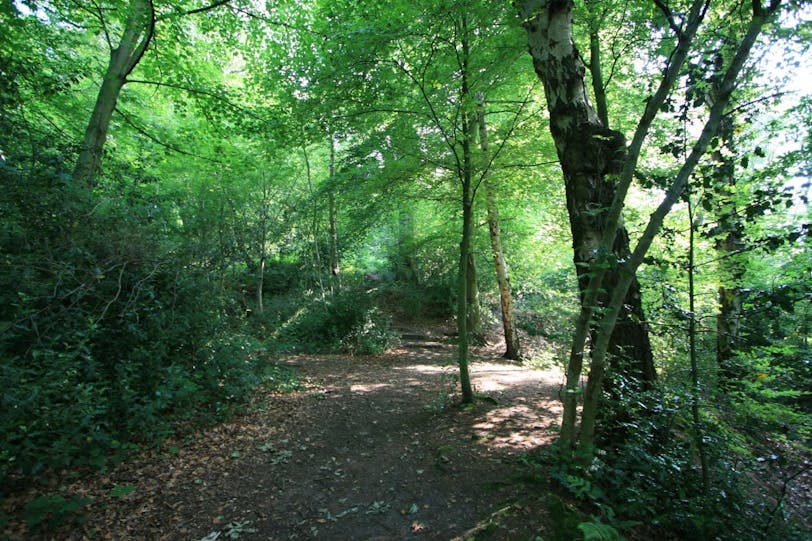 c.s. lewis reserve
