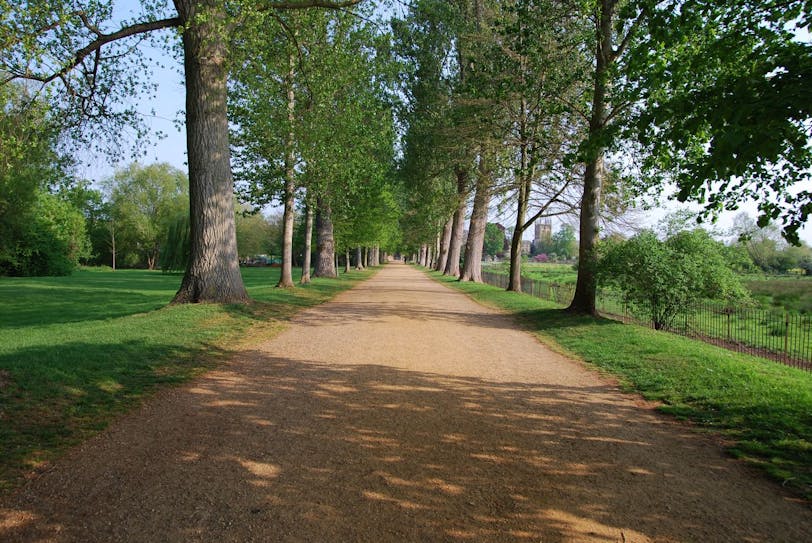 the new walk