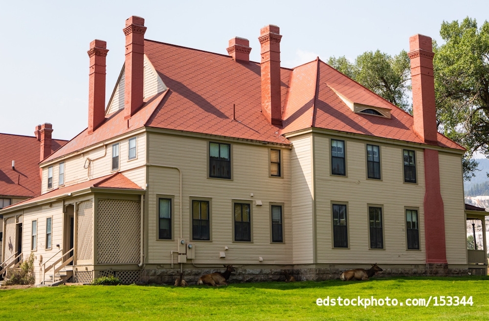 Officers Row with Elk (Fort Yellowstone, Wyoming)
