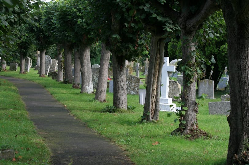 Tree-Lined Path Through Churchyard
