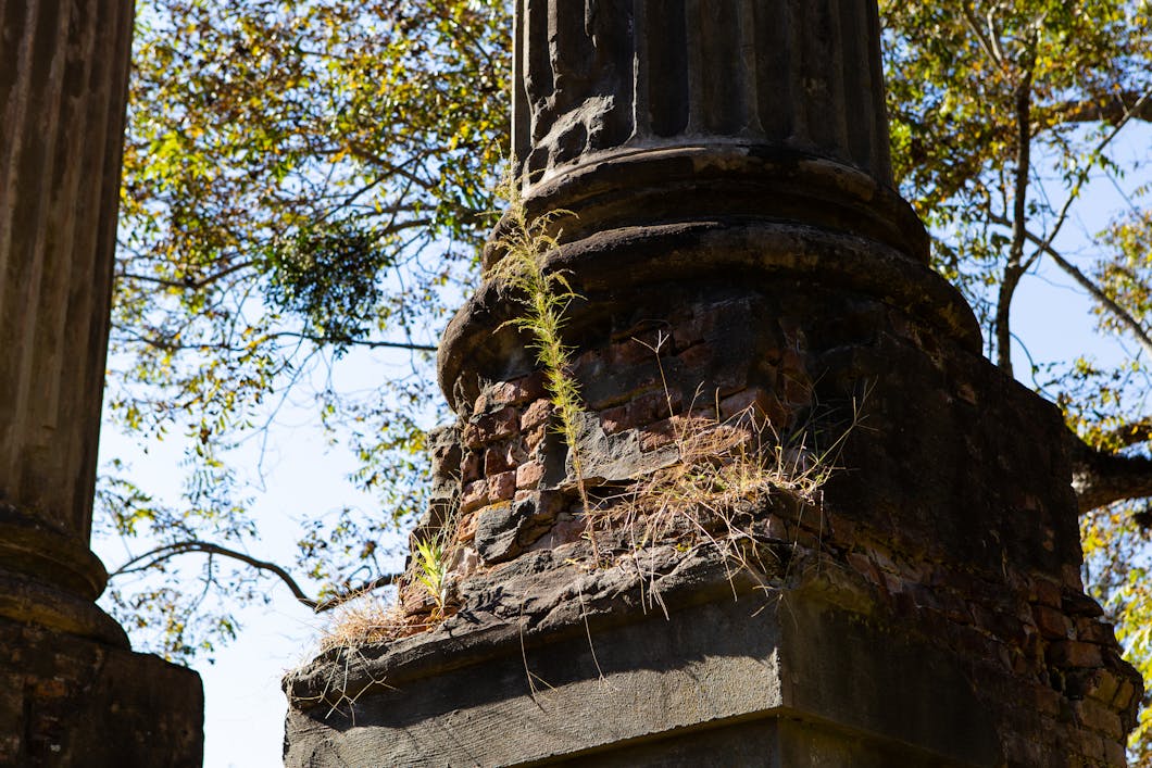 Crumbling Pillar with Plants, Windsor Ruins, Mississippi