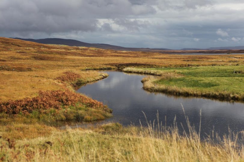 Highland Scenery