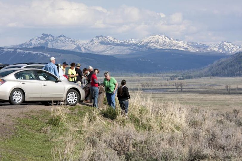 Wildlife Watchers