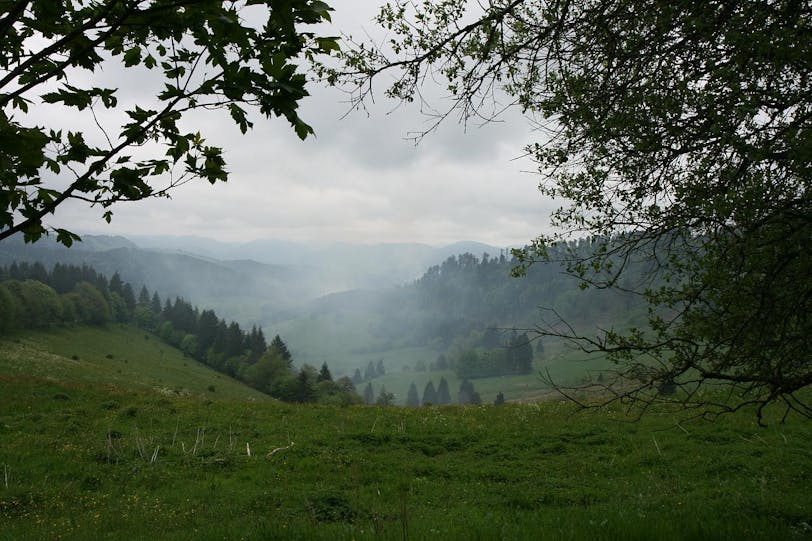 xti_8687
