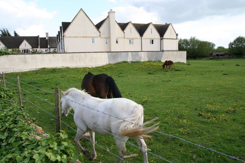 cassington horse