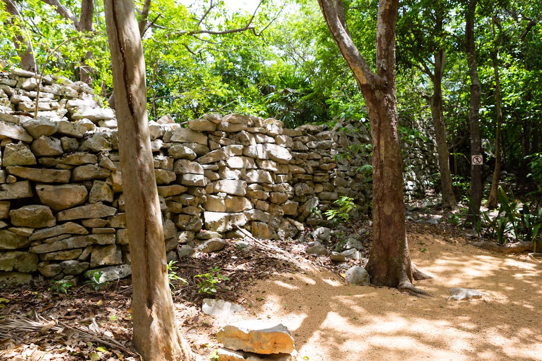 Wall in the Jungle, Tulum, Mexico