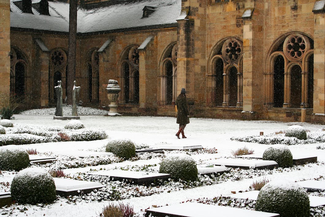 Snowy Cloister