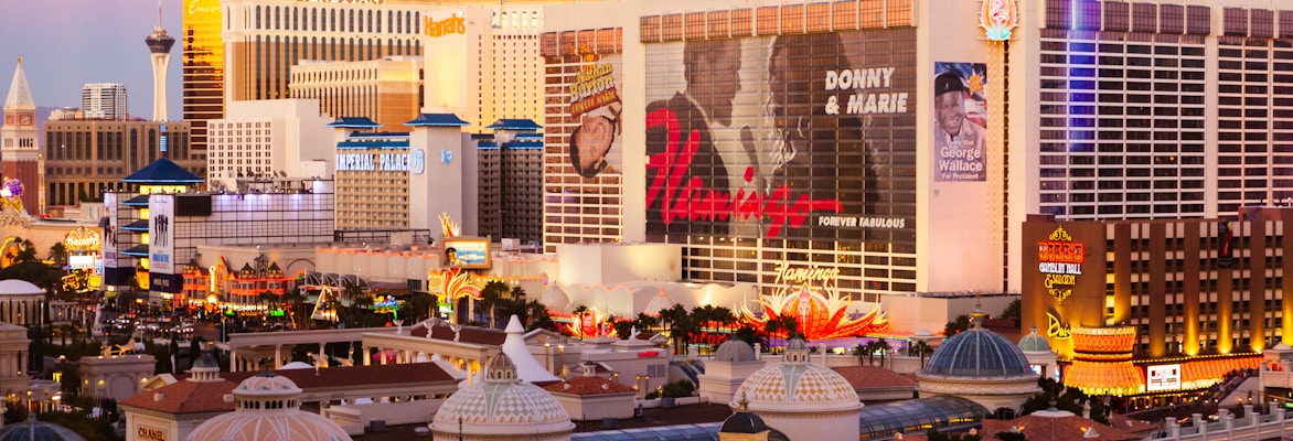 Las Vegas Cityscape at Dusk