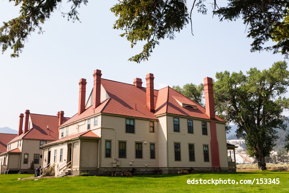 Officers Row with Elk (Fort Yellowstone, Wyoming)