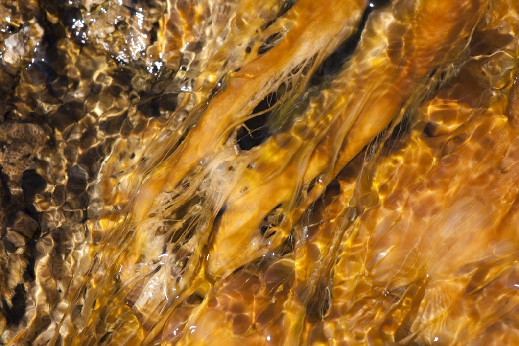 Living Texture