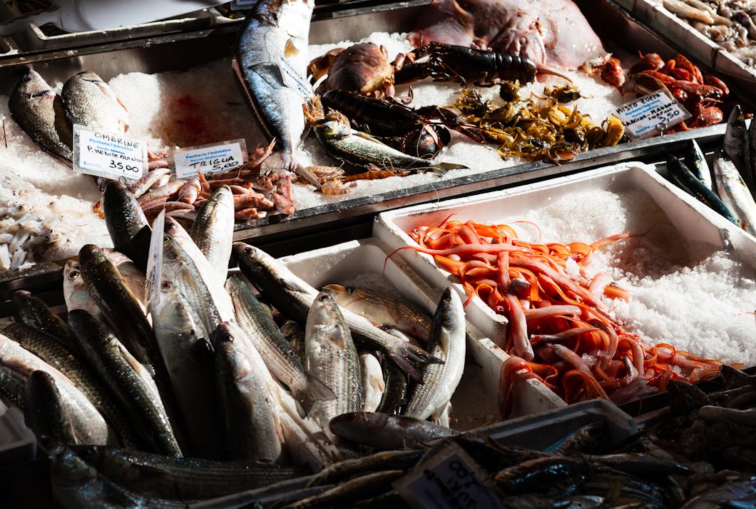 Fresh Fish at Pescheria L' Adriatica, Bologna, Italy