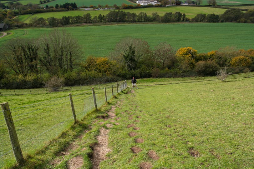 From the Path