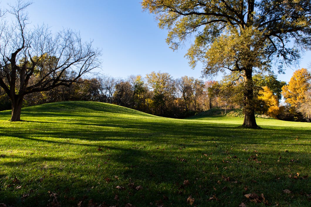 Cahokia Mounds State Historical Site