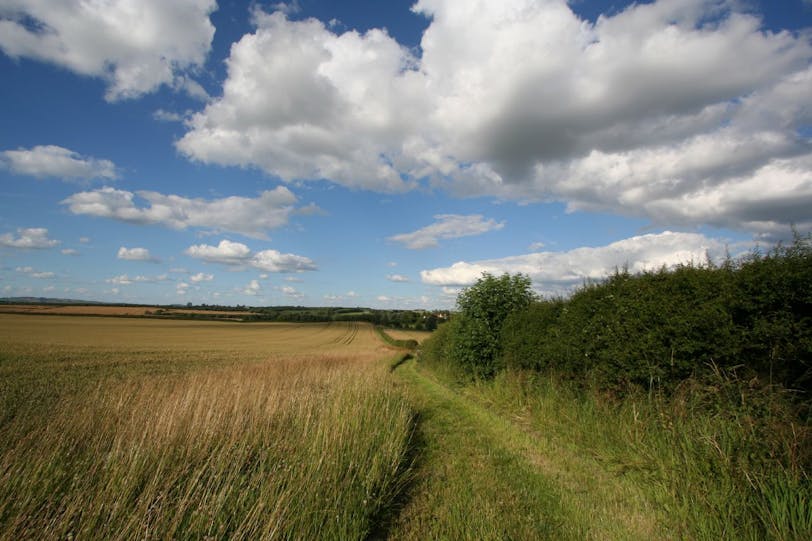 footpath