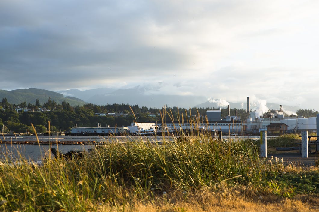 Paper Mill from Ediz Hook