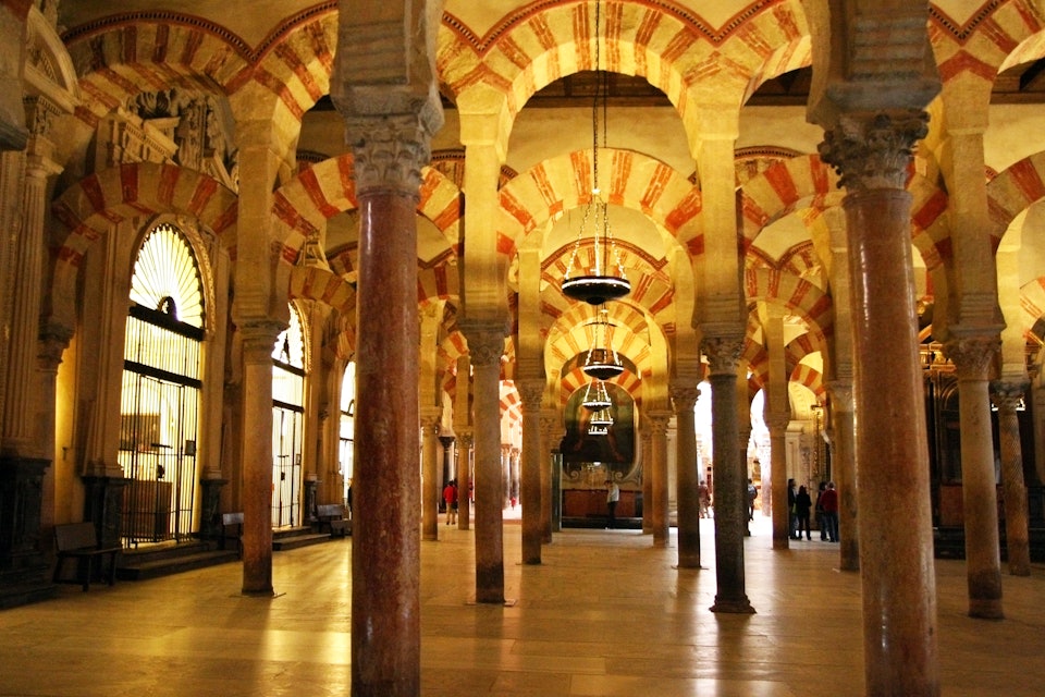 Forest of Columns