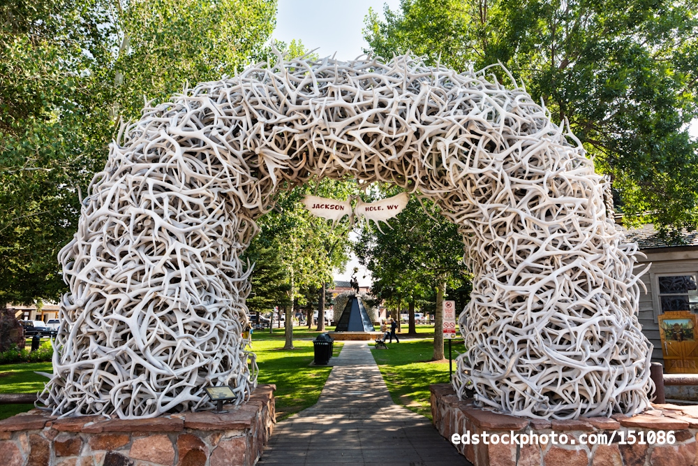Elk Antler Arch (Jackson, Wyoming)