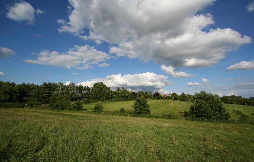 countryside