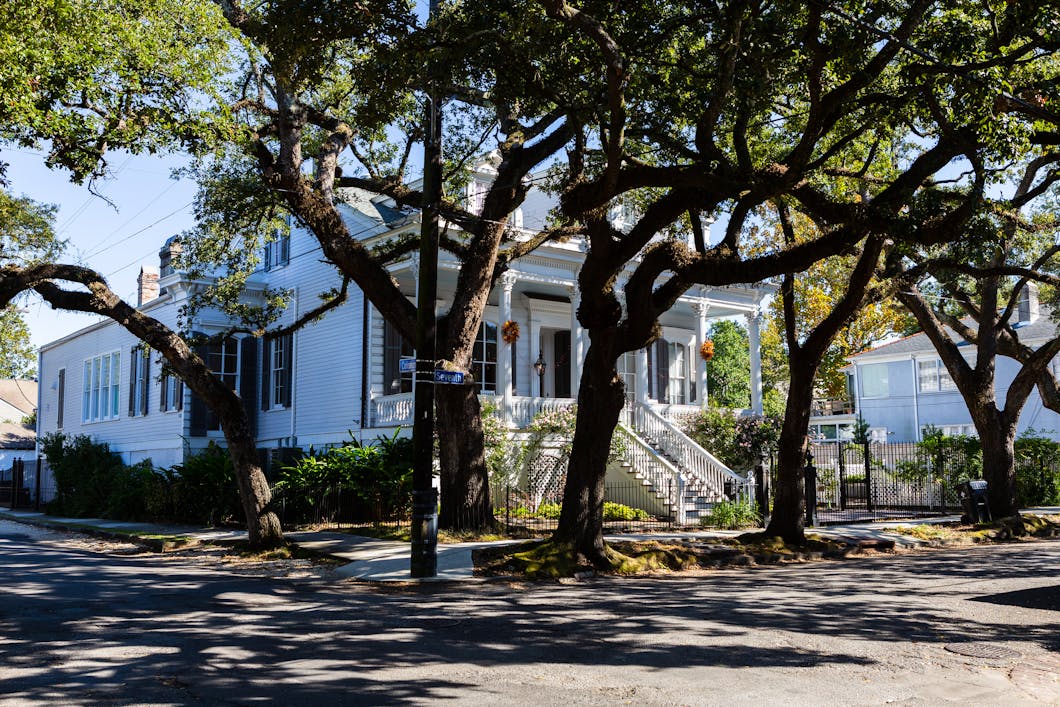 Oak Trees and House at 1329 7th St, New Orleans, Louisiana