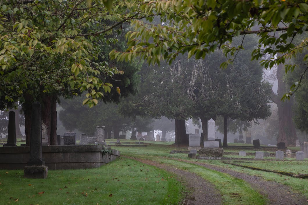 Curving Road in the Fog, Pioneer Cemetery - Salem, Oregon