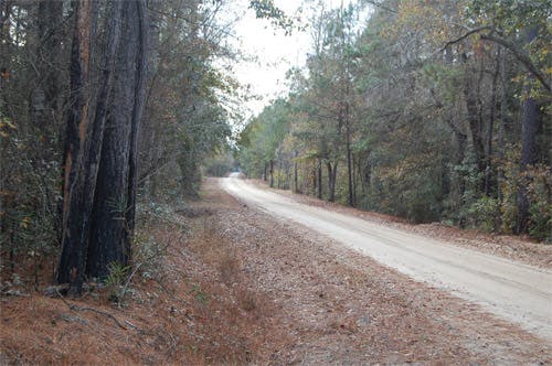 Old Georgetown Road