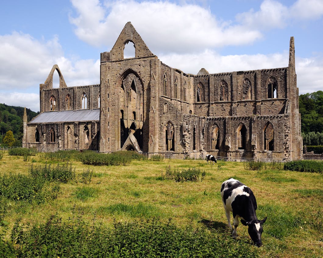 Tintern Abbey South